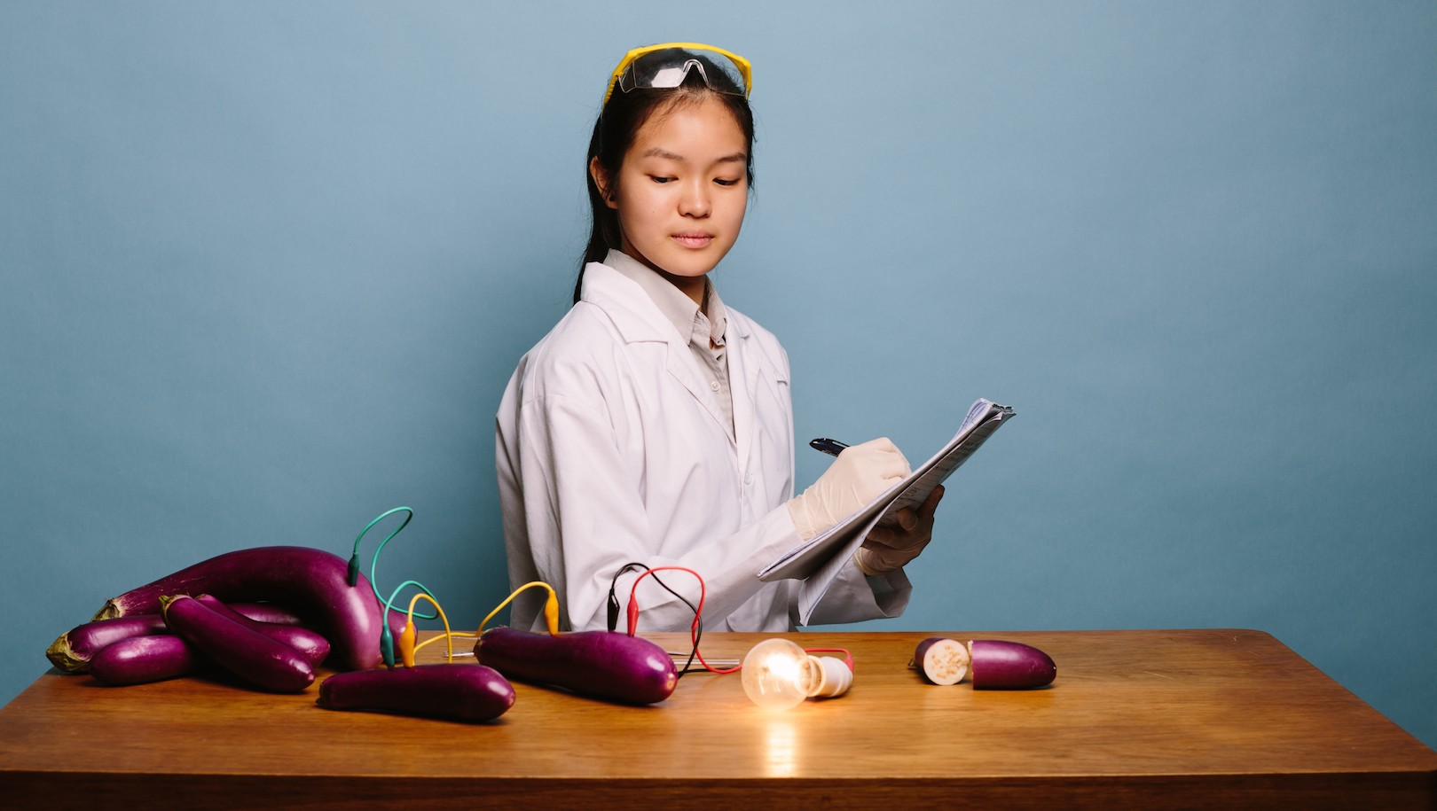 MAD AWESOME SCIENTIST: Shannon Lee developed a novel electrocatalyst for metal-air batteries – Chinese eggplant.